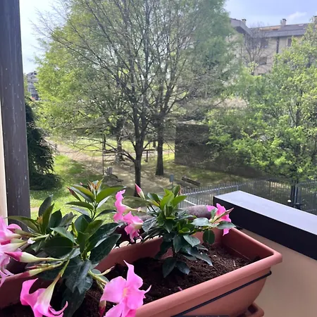 Perla Apartament